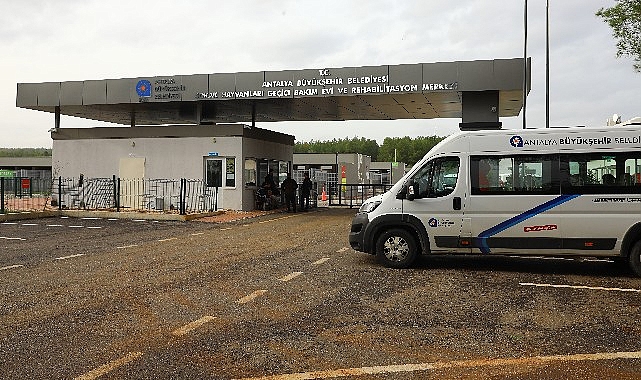 Büyükşehir'den can dostlara  modern bakım ev hizmeti