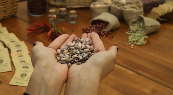 2025 yılı hububat alım fiyatları belli oldu
