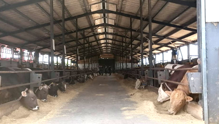 Yozgat Valiliği: Kurbanı kurban kesim yerleri dışında kesmemeye özen gösterin