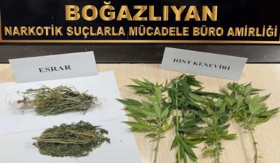 Boğazlıyan’da bahçesinde Hint keneviri yetiştirdiği iddiasıyla bir kişi yakalandı