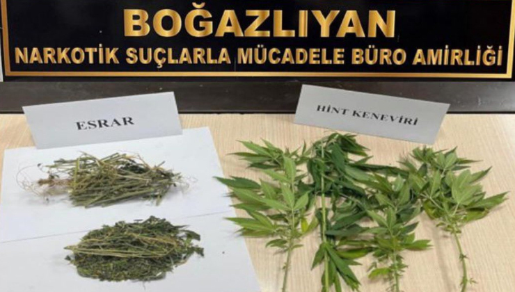 Boğazlıyan’da bahçesinde Hint keneviri yetiştirdiği iddiasıyla bir kişi yakalandı