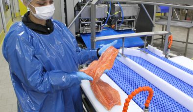 Türk somonunda hedef ihracatı 1 milyar doların üzerine taşımak