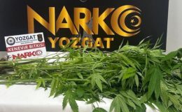 Yozgat Emniyeti’nin uyuşturucuyla mücadelesi devam ediyor