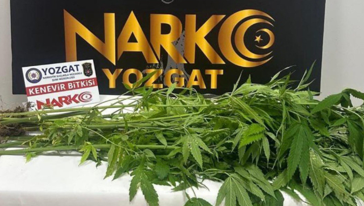 Yozgat Emniyeti’nin uyuşturucuyla mücadelesi devam ediyor