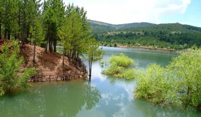 Yozgat Milli Çamlık Parkı