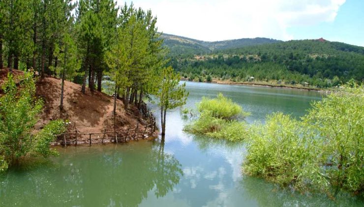 Yozgat Milli Çamlık Parkı