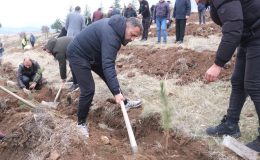 Sorgun Belediyesi’nden Anlamlı Ağaçlandırma Hamlesi: 1.500 Fidan Toprakla Buluştu