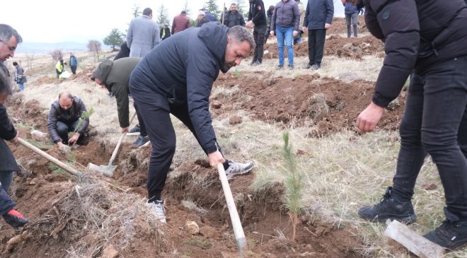 Sorgun Belediyesi’nden Anlamlı Ağaçlandırma Hamlesi: 1.500 Fidan Toprakla Buluştu