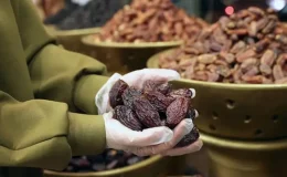 Ramazan öncesi hurma fiyatları açıklandı: Kilosu 190 TL’den başlıyor